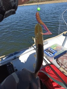 IMG_20200327_124037.jpg