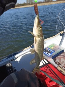 IMG_20200327_124039.jpg