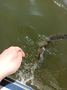 IMG_20200327_123506.jpg