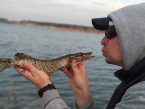 IMG_20200328_172724.jpg