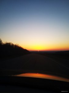 20200327_175258.jpg