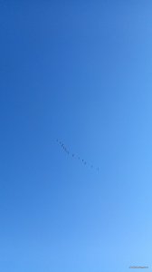 P00327-064956[1].jpg