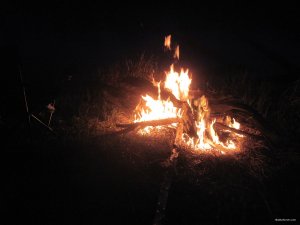 IMG_2333.JPG