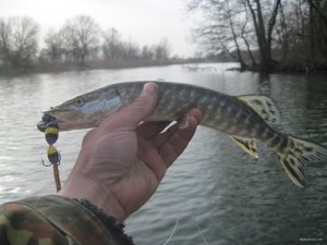 IMG_2342.JPG