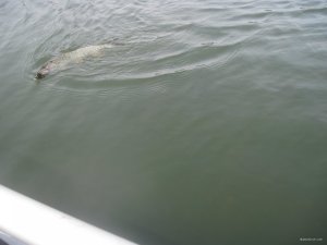 IMG_2345.JPG