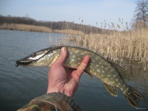 IMG_2348.JPG