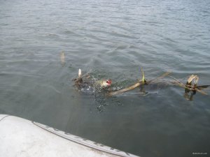 IMG_2350.JPG