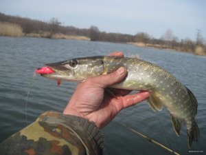 IMG_2352.JPG