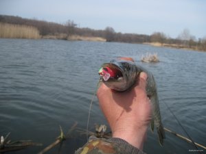 IMG_2353.JPG