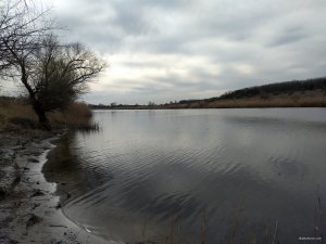 IMG_20200329_154804725.jpg