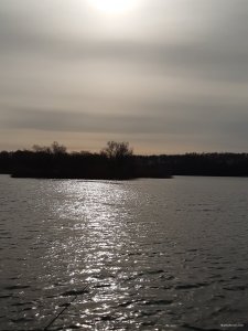 20200329_085845.jpg