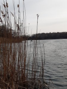 20200329_085833.jpg