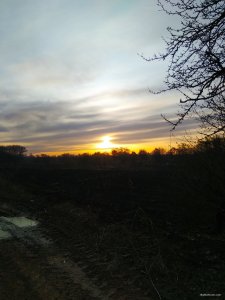 IMG_20200329_221728.jpg