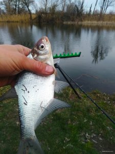IMG_20200329_221521.jpg