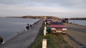 IMG_20200329_070408.jpg