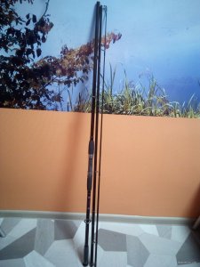 IMG_20200330_204412.jpg