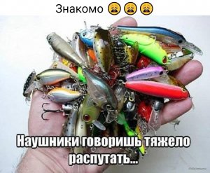 IMG-7864e7399a7d0a8ccf322868519a56d4-V.jpg