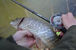 DSC_1047.jpg