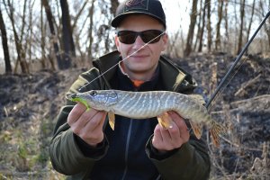 DSC_0981.jpg