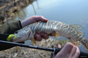 DSC_0983.jpg