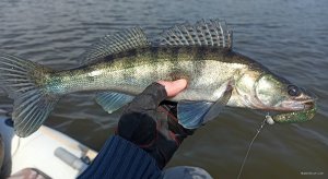 IMG_20200401_133650.jpg