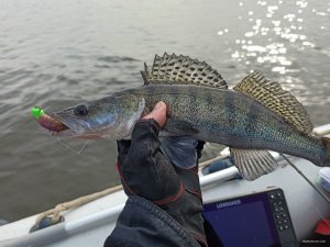 IMG_20200330_153808.jpg