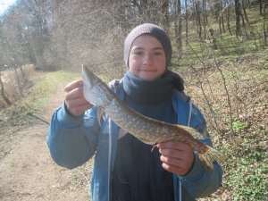 IMG_2371.JPG
