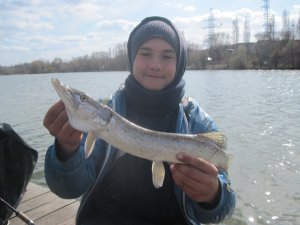 IMG_2387.JPG