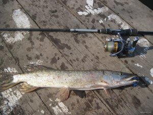 IMG_2390.JPG