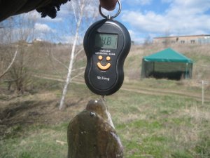 IMG_2384.JPG