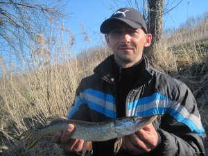 IMG_2412.JPG