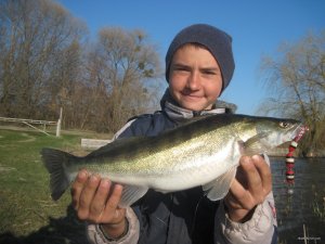 IMG_2415.JPG