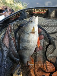 IMG_20200404_163109.jpg