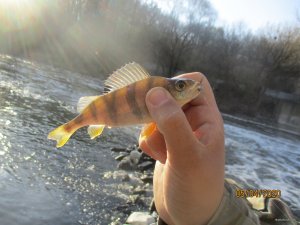 IMG_0686.JPG