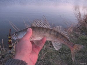IMG_2442.JPG