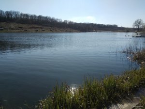 IMG_20200407_155017.jpg