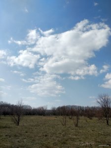 IMG_20200409_144614.jpg