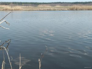 IMG_20200409_142724.jpg
