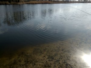 IMG_20200409_151253.jpg