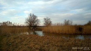 IMG_20200327_171222_HDR.jpg