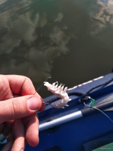 IMG_20200409_161452.jpg