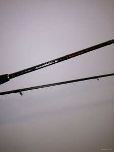IMG_20200406_204037.jpg