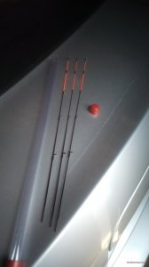 IMG_20200411_084857.jpg