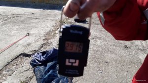 VideoCapture_20200414-102703.jpg