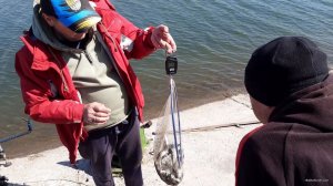 VideoCapture_20200414-102842.jpg