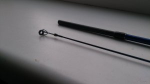 IMG_20200414_181906.jpg