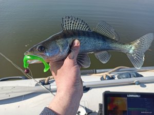 IMG_20200409_154616.jpg