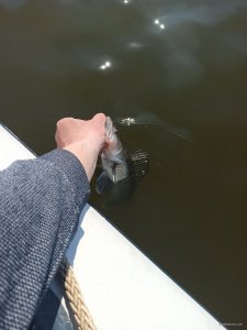 IMG_20200409_150649.jpg