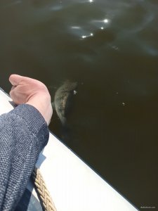 IMG_20200409_150652.jpg