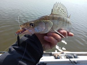 IMG_20200409_121323.jpg